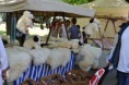 /album/piestany-2012/dsc-0031-copy-jpg/